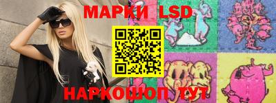дмт Славгород