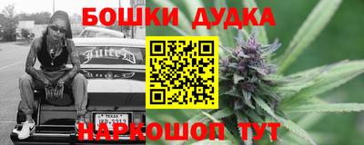 дмт Славгород
