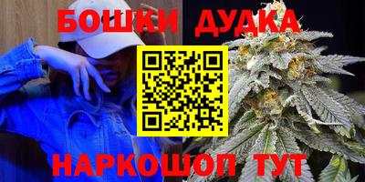 дмт Славгород