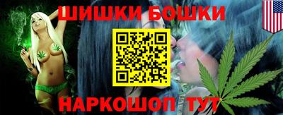 дмт Славгород