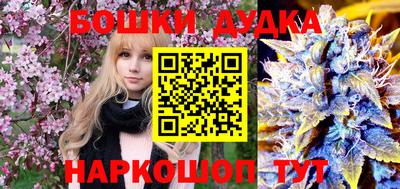 наркотики Сланцы